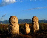 昭苏天气预报40天