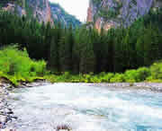 卓尼天气预报60天