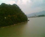 桐庐天气预报15天