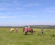 龙里天气预报30天