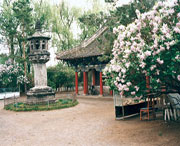 黑水天气预报30天