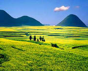 罗平天气预报30天