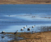 会泽天气预报60天