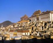 香格里拉天气预报60天